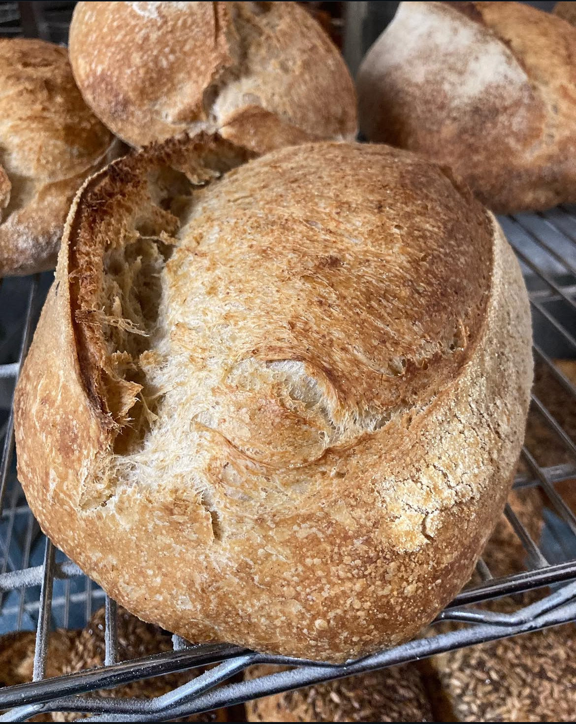Forest Sourdough 850g