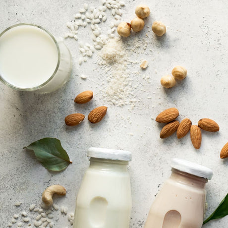 The best vegan milks in 2024