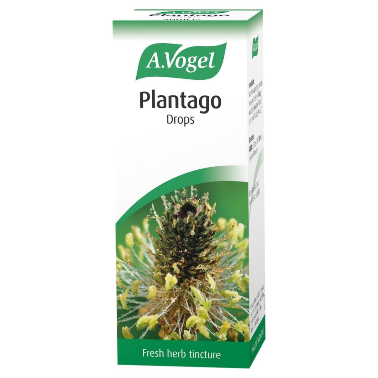 A Vogel Plantago 50ml