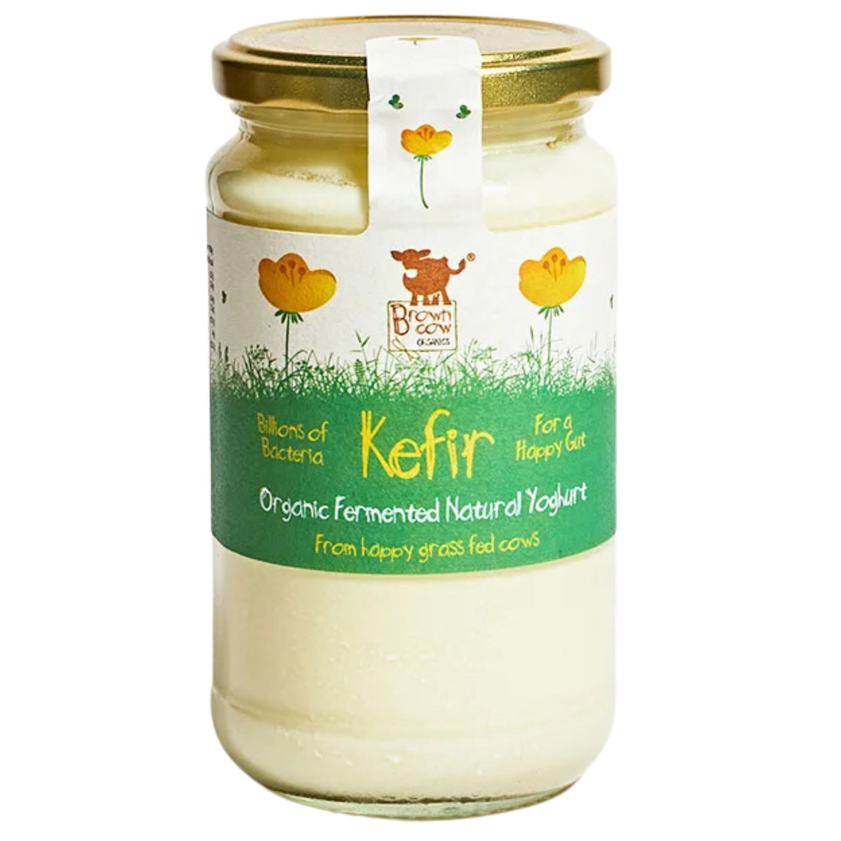 Brown Cow Natural Kefir 450ml