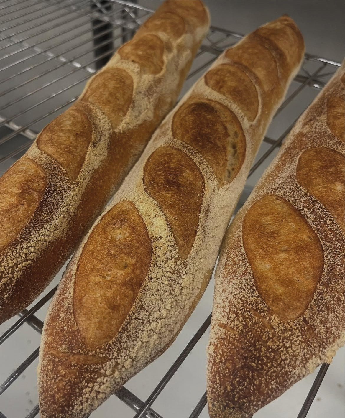 forest sourdough baguette
