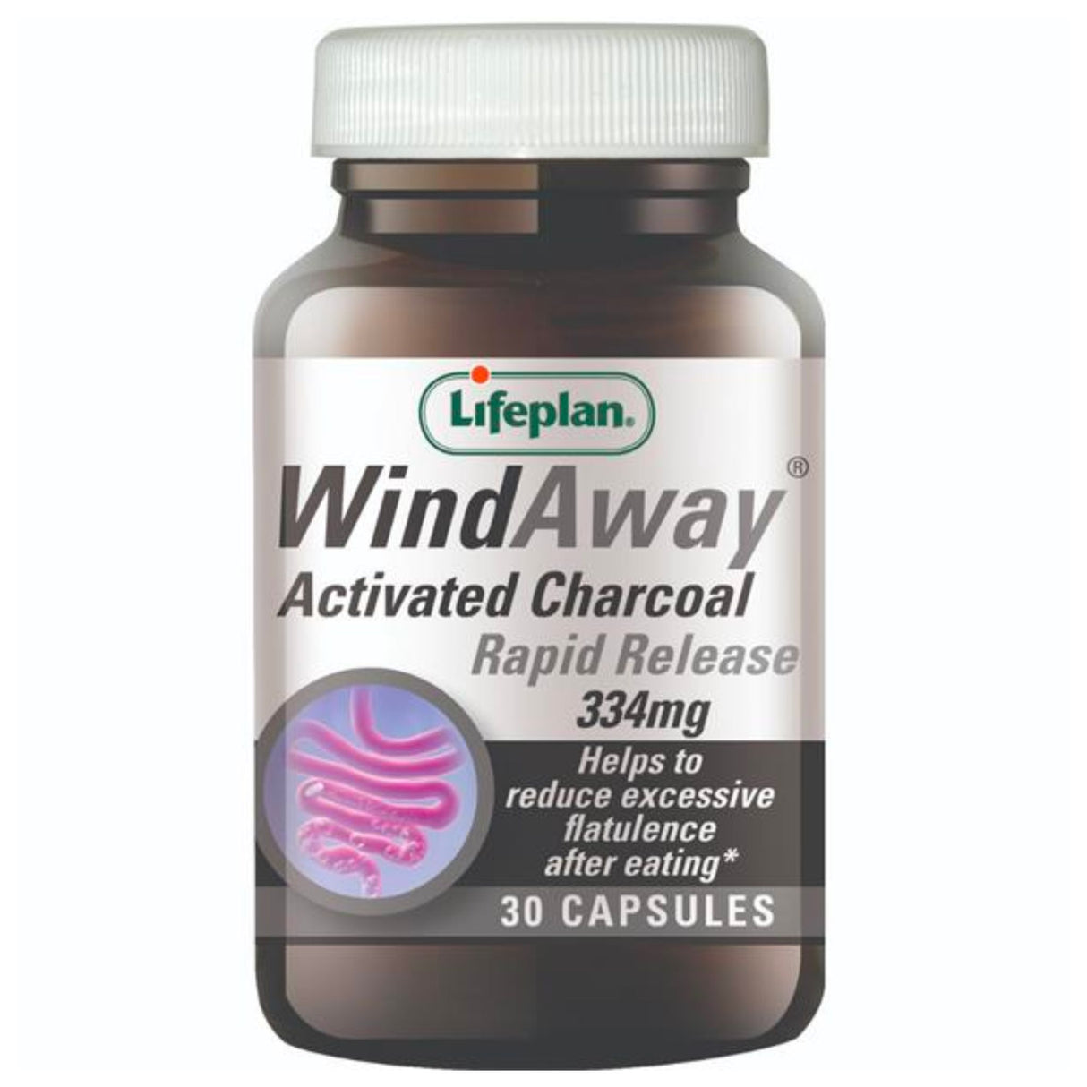 Lifeplan Windaway Charcoal 30s