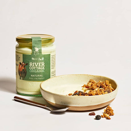 River Cottage Guernsey Yoghurt 475ml