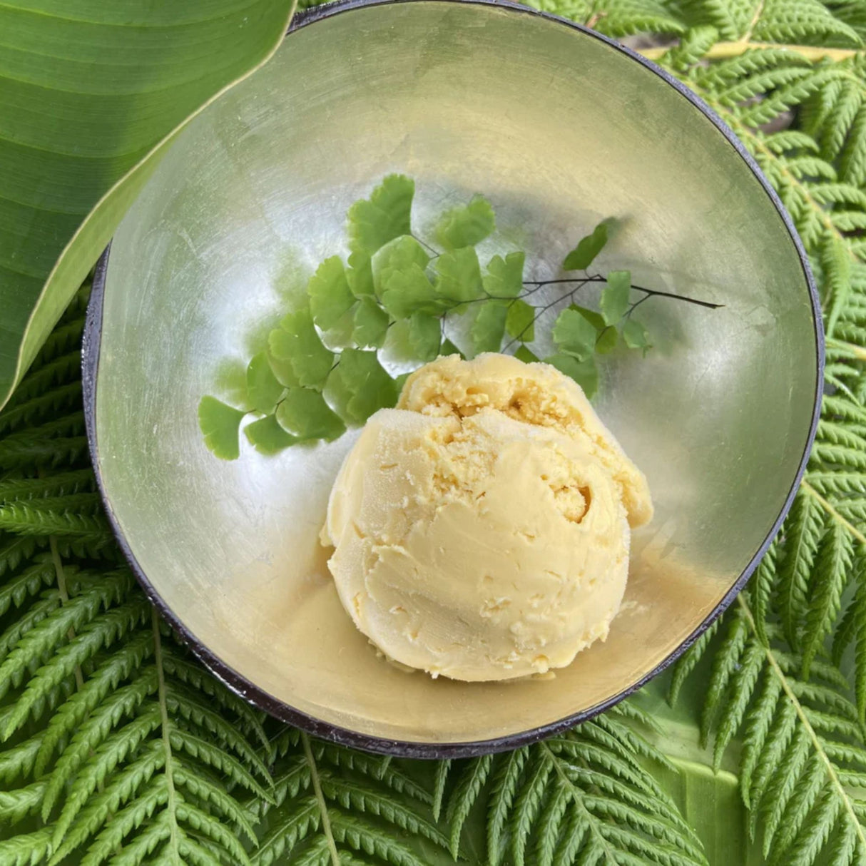 Salcombe Dairy Rainforest Ice Cream 120ml