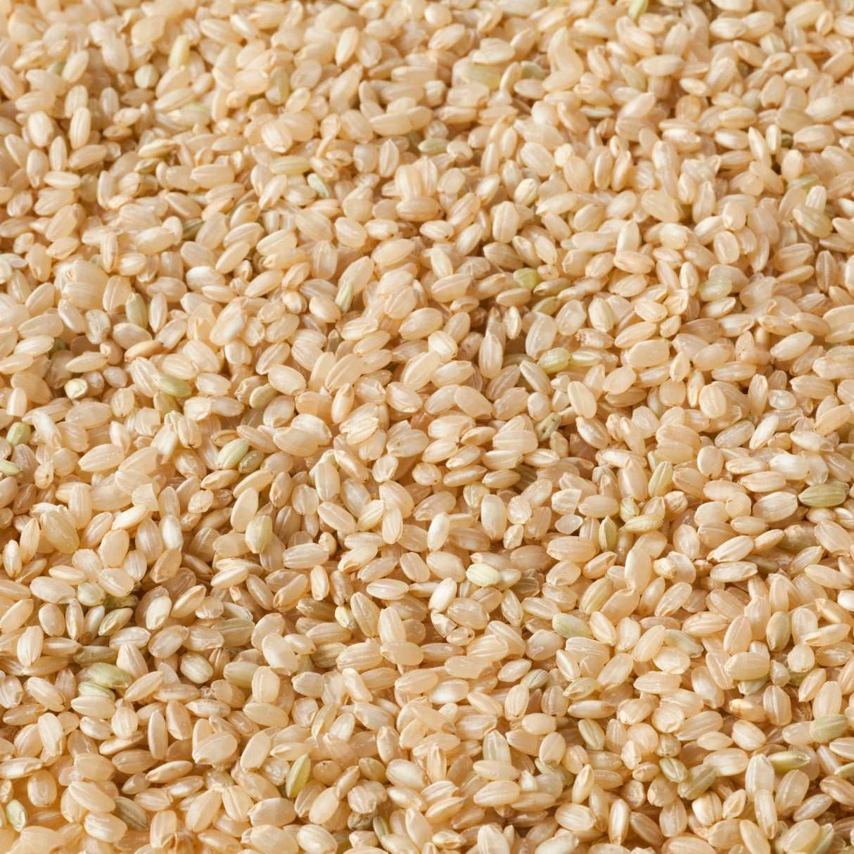 Brown Organic Short Grain Rice (Loose) 100g