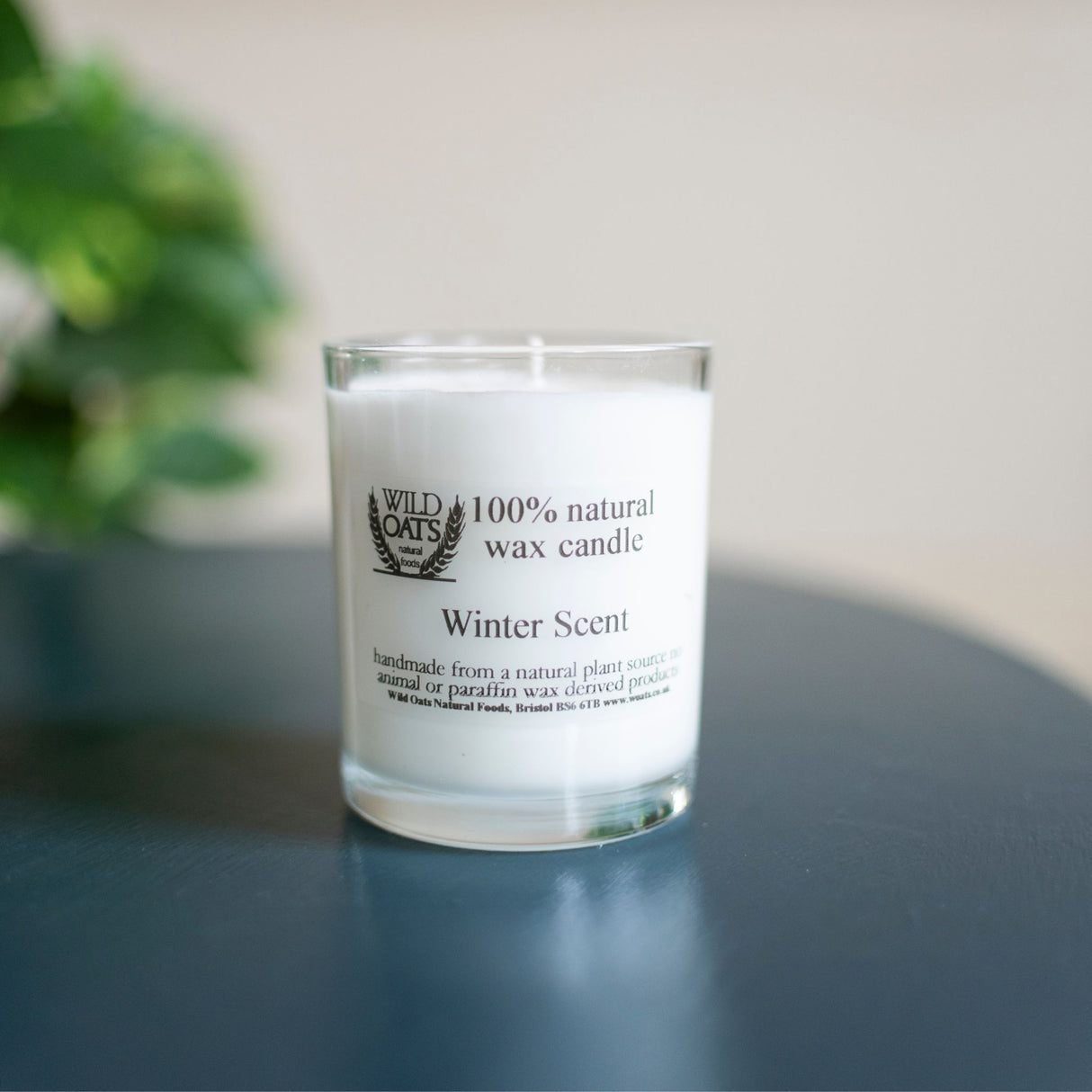 Wild Oats Winter Scent Single Wick Candle